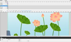 池塘莲花荷花成长 11秒