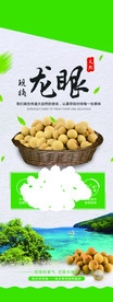 龙眼易拉宝