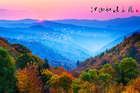 山峰森林树木江山如此多娇背景墙