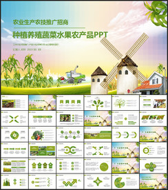 生态农业水果蔬菜农产品PPT