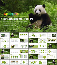 保护动物PPT