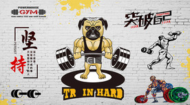 动物健身背景墙