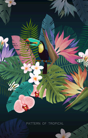 热带花卉插画设计