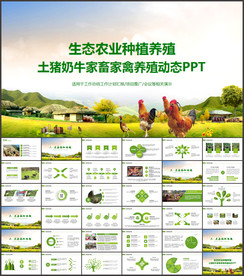 农业农产品生态养殖农家土鸡蛋