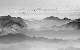 中国风   抽象山水画 大厅装