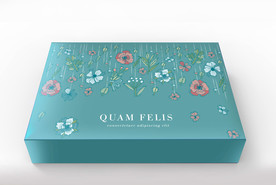 化妆品套盒包装设计平面图