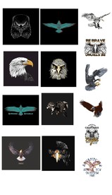 卡通手绘老鹰海报背景印花图案