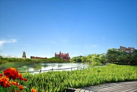 地产沼泽生态自然美景公园合成