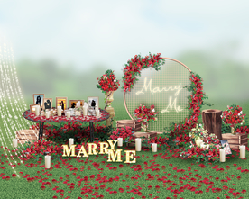 红色求婚效果图