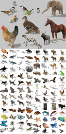 家禽昆虫SU模型