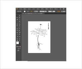 千年人参王矢量线描