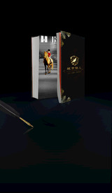 地产黑金学区房教育地产户外海报