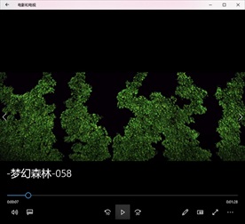 绿叶 婚礼背景 重门