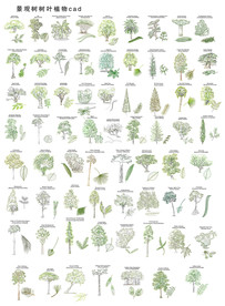 CAD树木素材