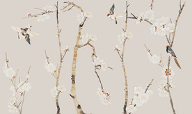 淡雅梅花 花鸟画