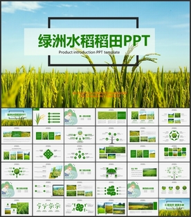 水稻种植PPT