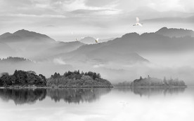 白鹤山水画TIF分层