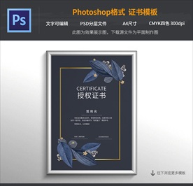 最新授权证书模板