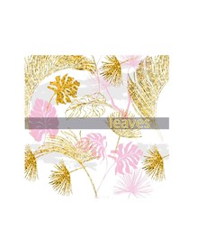 叶子 树叶 花叶 春天 热带