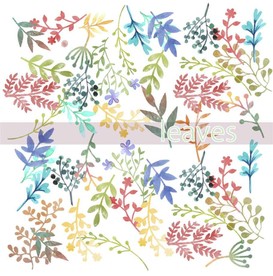 叶子 树叶 花叶 春天 热带