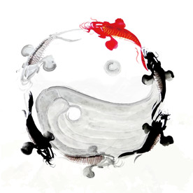 阴阳鱼