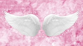 翅膀背景墙