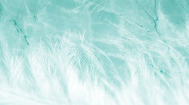 羽毛大理石背景墙