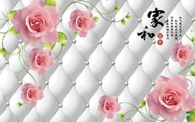 客厅电视背景墙