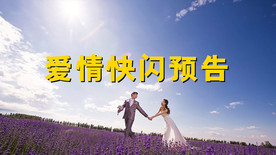 快闪婚礼开场pr模板
