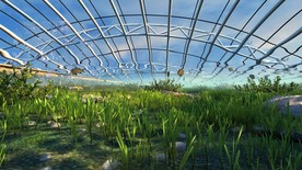 室内养鱼 鱼塘 水下剖面 水草