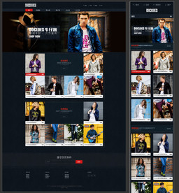 商城模板 电子商务 服装网站