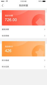 我的财富钱包余额积分提现UI界