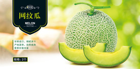 网纹瓜