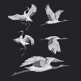 矢量手绘丹顶鹤