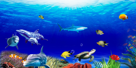 海底世界