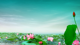 荷塘月色风景宽屏