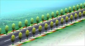 道路绿化效果图