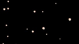 花瓣 飘落 1920带通道