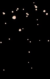 竖屏 花瓣1920 带通道