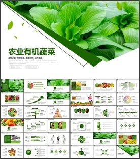 农业蔬菜批发PPT