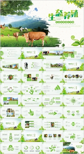 畜牧业养殖生态农业养殖PPT