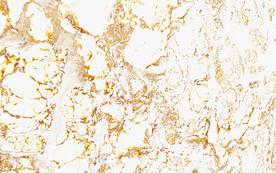 抽象金色大理石纹电视背景墙