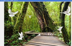 高清绿色森林小路风景画工装背景