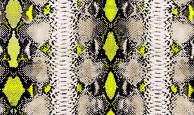蛇皮 豹纹