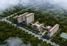 医院整体鸟瞰图