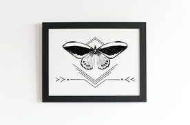 蝴蝶艺术装饰画