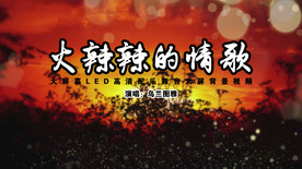 火辣辣的情歌配乐LED舞台背景