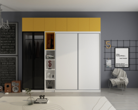 衣柜移门效果图