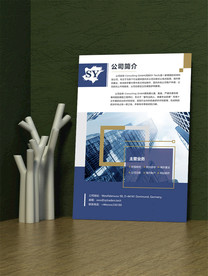 商务企业宣传DM单