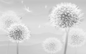 高清装饰画 TIF分层 背景墙